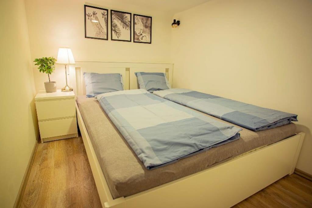 Cosy 2 Bedroom Flat In Akacfa St., Sol Boedapest Buitenkant foto