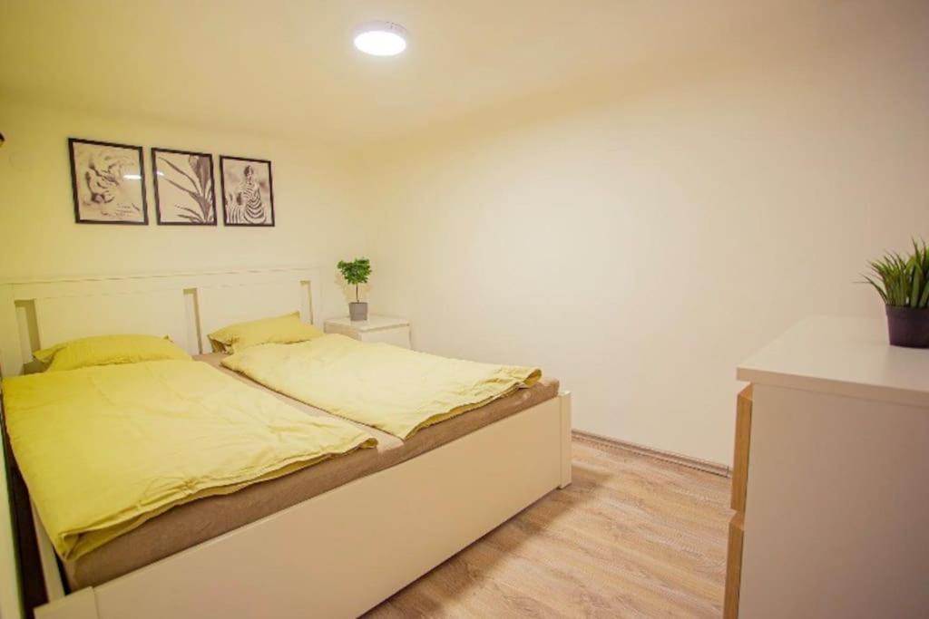 Cosy 2 Bedroom Flat In Akacfa St., Sol Boedapest Buitenkant foto